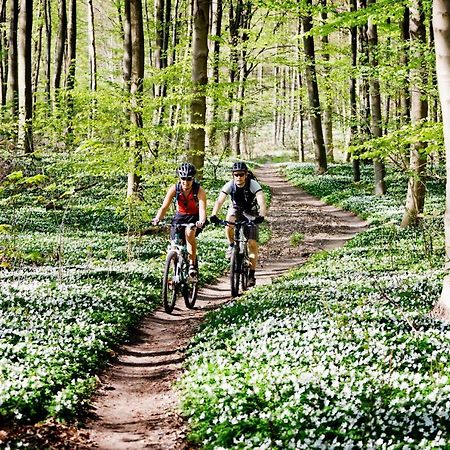Vakantiehuis In Een Prachtige Bosrijke Omgeving In Twente! Bornerbroek Kültér fotó