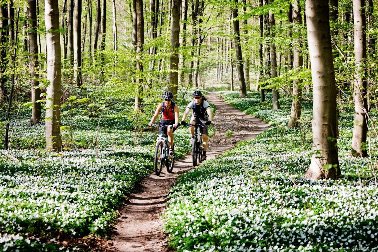 Vakantiehuis In Een Prachtige Bosrijke Omgeving In Twente! Bornerbroek Kültér fotó