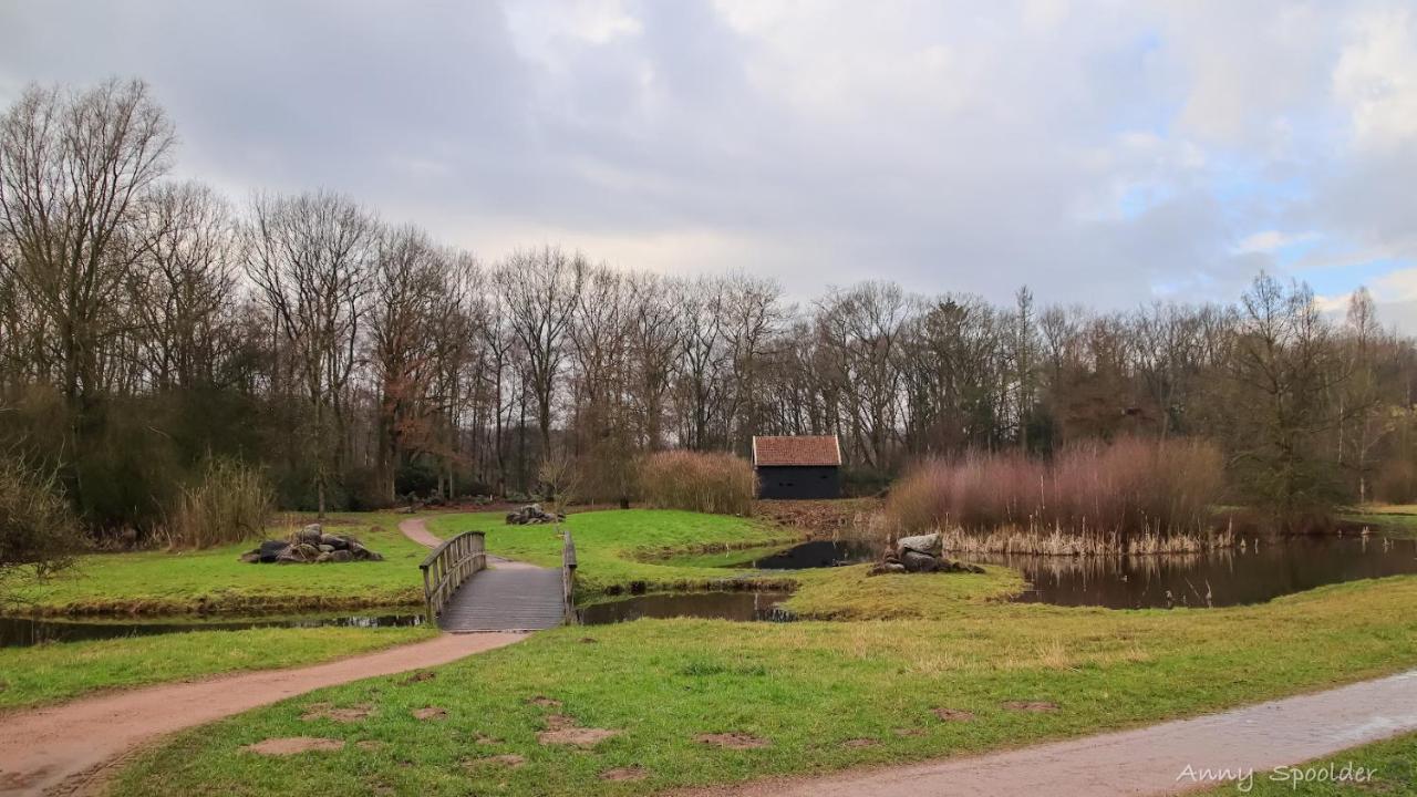 Vakantiehuis In Een Prachtige Bosrijke Omgeving In Twente! Bornerbroek Kültér fotó