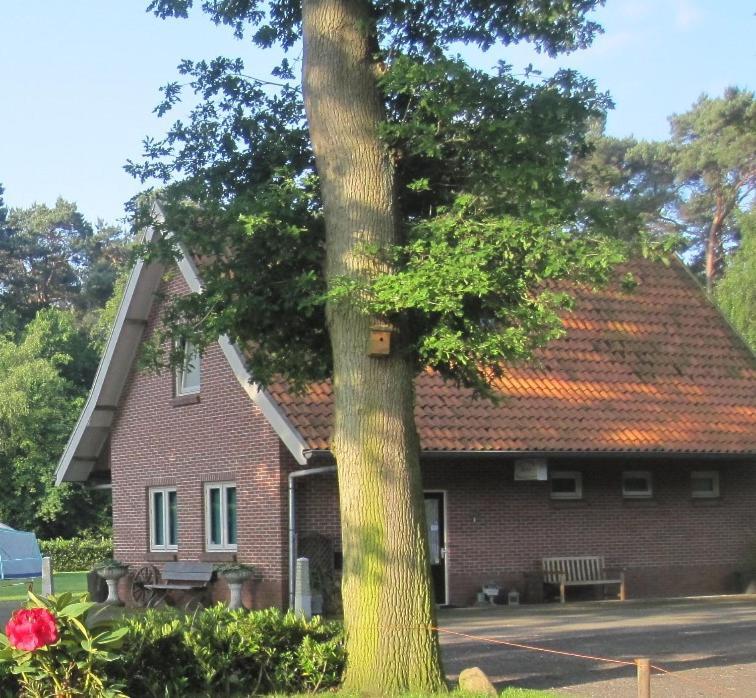 Vakantiehuis In Een Prachtige Bosrijke Omgeving In Twente! Bornerbroek Kültér fotó
