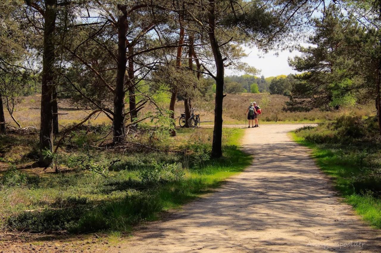 Vakantiehuis In Een Prachtige Bosrijke Omgeving In Twente! Bornerbroek Kültér fotó
